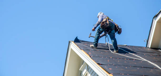 Best Roof Gutter Cleaning  in Roaring Spring, PA